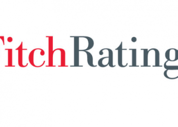 Public support for the government is weak-Fitch ratings