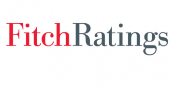 Public support for the government is weak-Fitch ratings