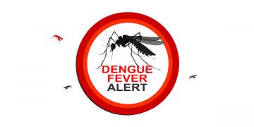 Dengue on the rise; 25th July Special Dengue Control Day