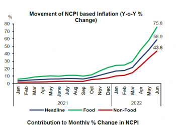 Inflation hits record 58.9% in June 2022