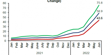 Inflation hits record 58.9% in June 2022