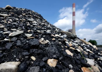 Coal Imports: Concerns about the procurement process?