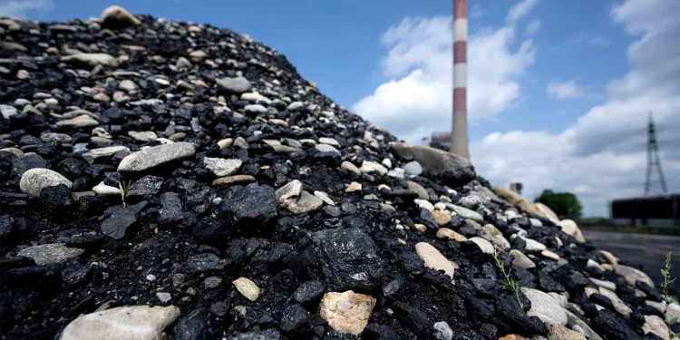 Coal Imports: Concerns about the procurement process?