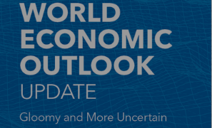 Pandemic hit world in for several shocks – IMF