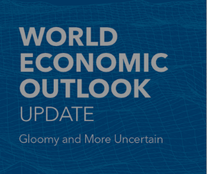 Pandemic hit world in for several shocks – IMF