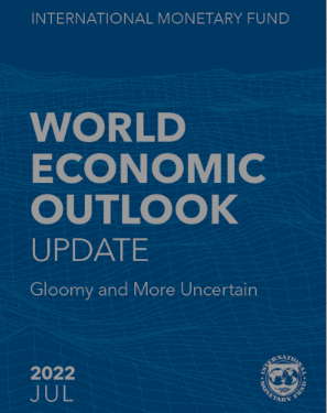 Pandemic hit world in for several shocks – IMF
