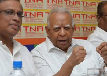 Tamil National Alliance to support Dullas