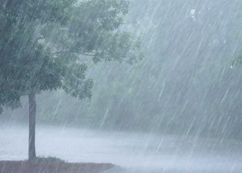 Heavy rainfall causes calamity in many areas!