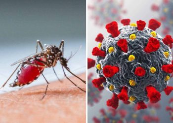 Children infected with Dengue, COVID-19 on the rise at LRH: