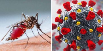 Children infected with Dengue, COVID-19 on the rise at LRH: