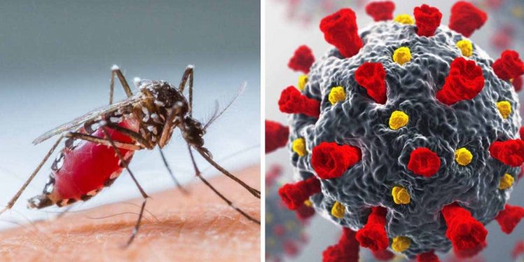 Children infected with Dengue, COVID-19 on the rise at LRH: