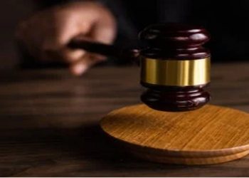 Dhaniz Ali granted bail