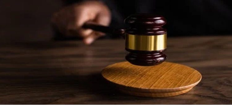 Dhaniz Ali granted bail