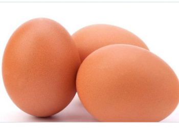Govt. imposes maximum retail price for Eggs