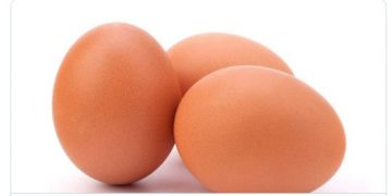 Govt. imposes maximum retail price for Eggs