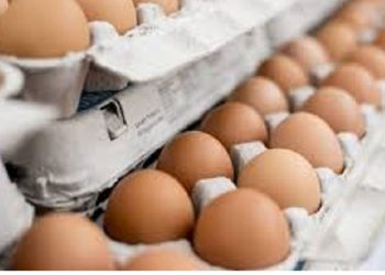 Egg price to reduce from Monday
