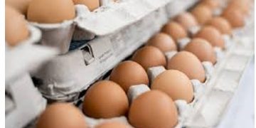 Egg price to reduce from Monday