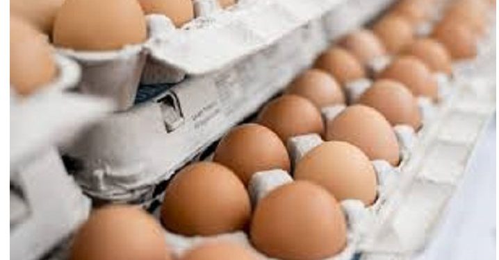 Egg price to reduce from Monday