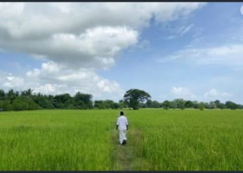 Sri Lanka faces looming food crisis with stunted rice crop