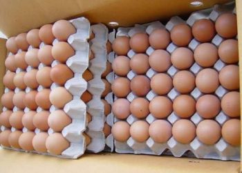 Poor decisions could kill egg exports from Sri Lanka, the industry says.