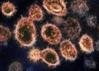 A new Chinese virus starting to spread! No cure ! Here are the symptoms!