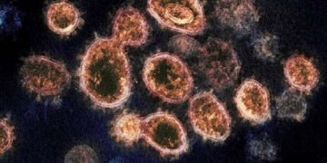 A new Chinese virus starting to spread! No cure ! Here are the symptoms!
