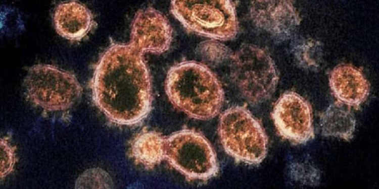 A new Chinese virus starting to spread! No cure ! Here are the symptoms!