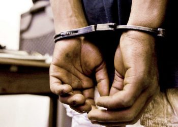 The police arrested almost 30 protestors today.