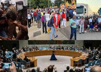 Once the Tamil Diaspora – now the Sinhalese Diaspora” Why did this happen to the government