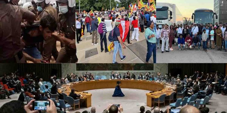 Once the Tamil Diaspora – now the Sinhalese Diaspora” Why did this happen to the government