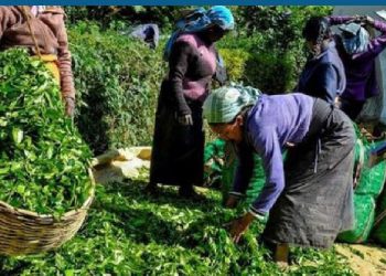 UN concerned with Sri Lankan workers’ living conditions