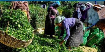 UN concerned with Sri Lankan workers’ living conditions