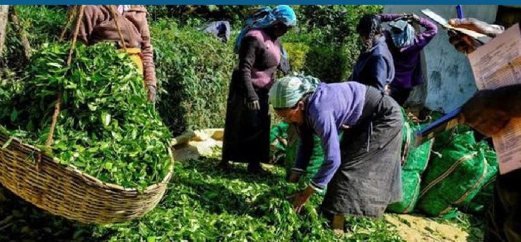 UN concerned with Sri Lankan workers’ living conditions