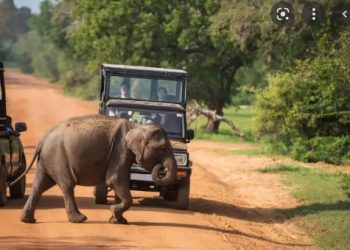 SL wildlife parks raise the rates