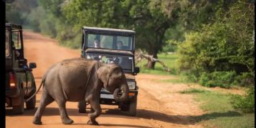 SL wildlife parks raise the rates