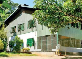 Ceylon Tea Brokers assists ACU in achieving the highest tea price in history at auction.