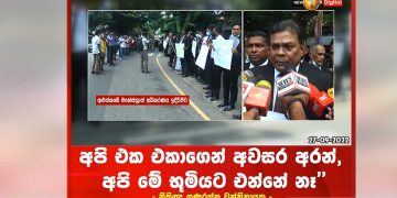 Following the election of the chairman, a fight  in a  local council! A hideous vine! (VIDEO)