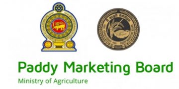 Paddy Board scandal! The incumbent chairman refuses to resign. The Ministry Secretary contradicts Amarweera.