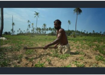 Sri Lanka’s crisis pushes war-shattered Tamils to the brink