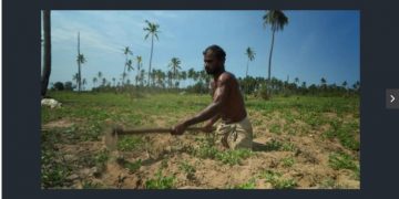 Sri Lanka’s crisis pushes war-shattered Tamils to the brink