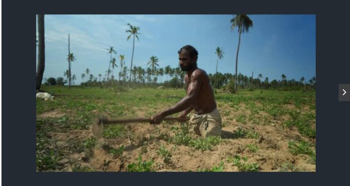 Sri Lanka’s crisis pushes war-shattered Tamils to the brink