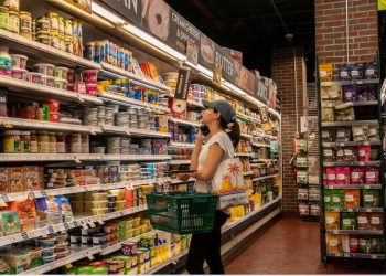Stagflation High inflation and stagnant economic growth