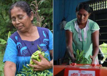 Early Warning for AllInternational Disaster Risk Reduction Day 2022