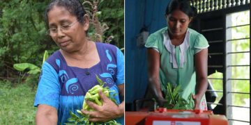 Early Warning for AllInternational Disaster Risk Reduction Day 2022
