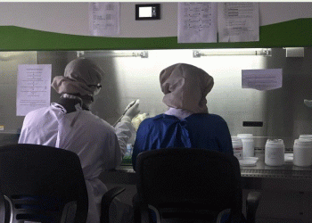 Sri Lanka’s healthcare in distress as doctors leave for Middle East, other countries