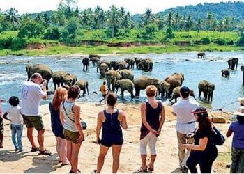 Tourist arrivals drop by 21% in September