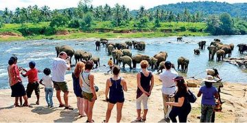 Tourist arrivals drop by 21% in September