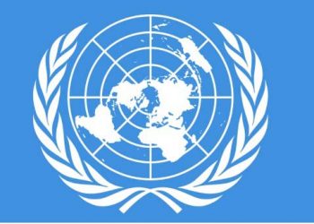 Protect the right to assemble, says the UN rapporteur