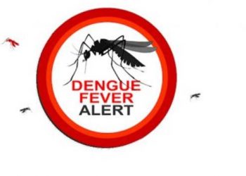 Over 49,000 dengue cases so far in 2022
