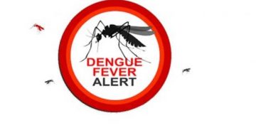 Over 49,000 dengue cases so far in 2022